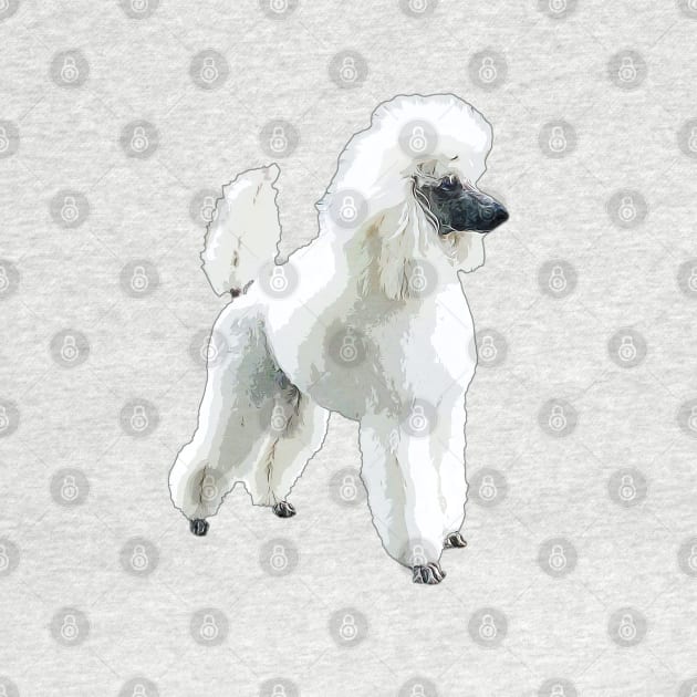 White Poodle Gorgeous Dog by ElegantCat